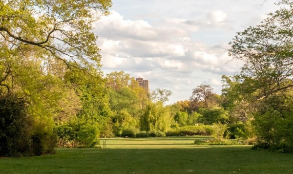 The Brooklyn Botanic Garden