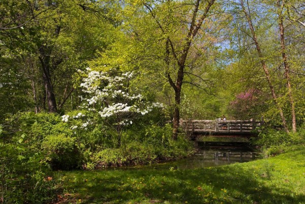 The Brooklyn Botanic Garden