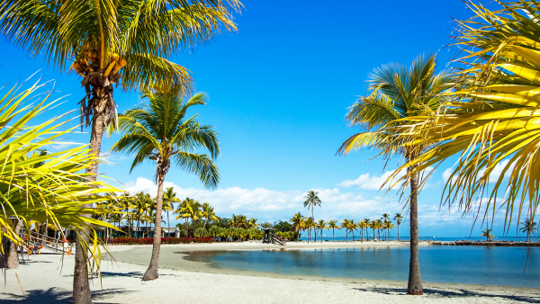 Matheson Hammock Park & Marina