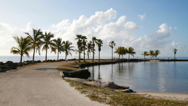 Matheson Hammock Park & Marina