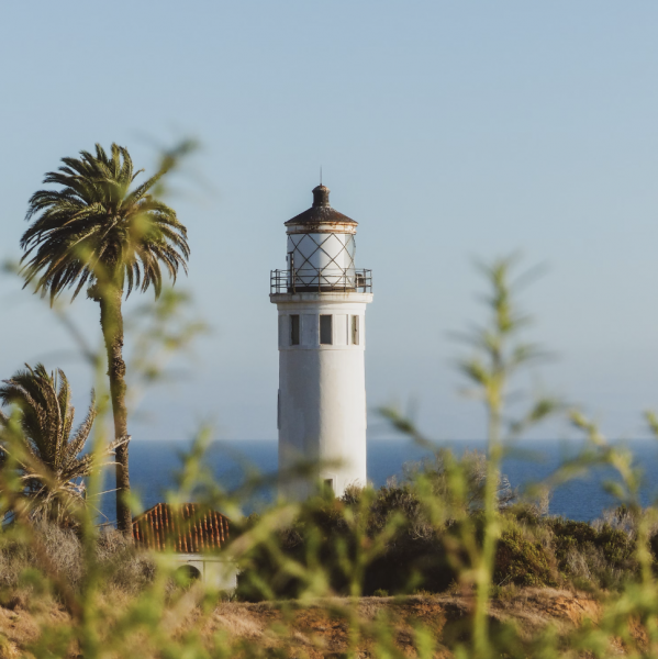 Vicente Bluffs Reserve