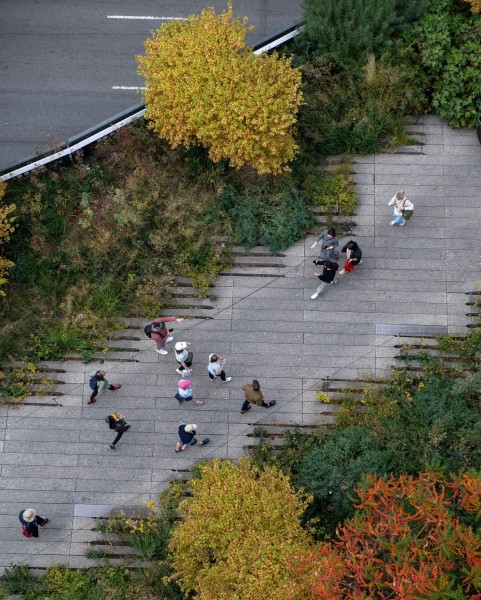 The High Line